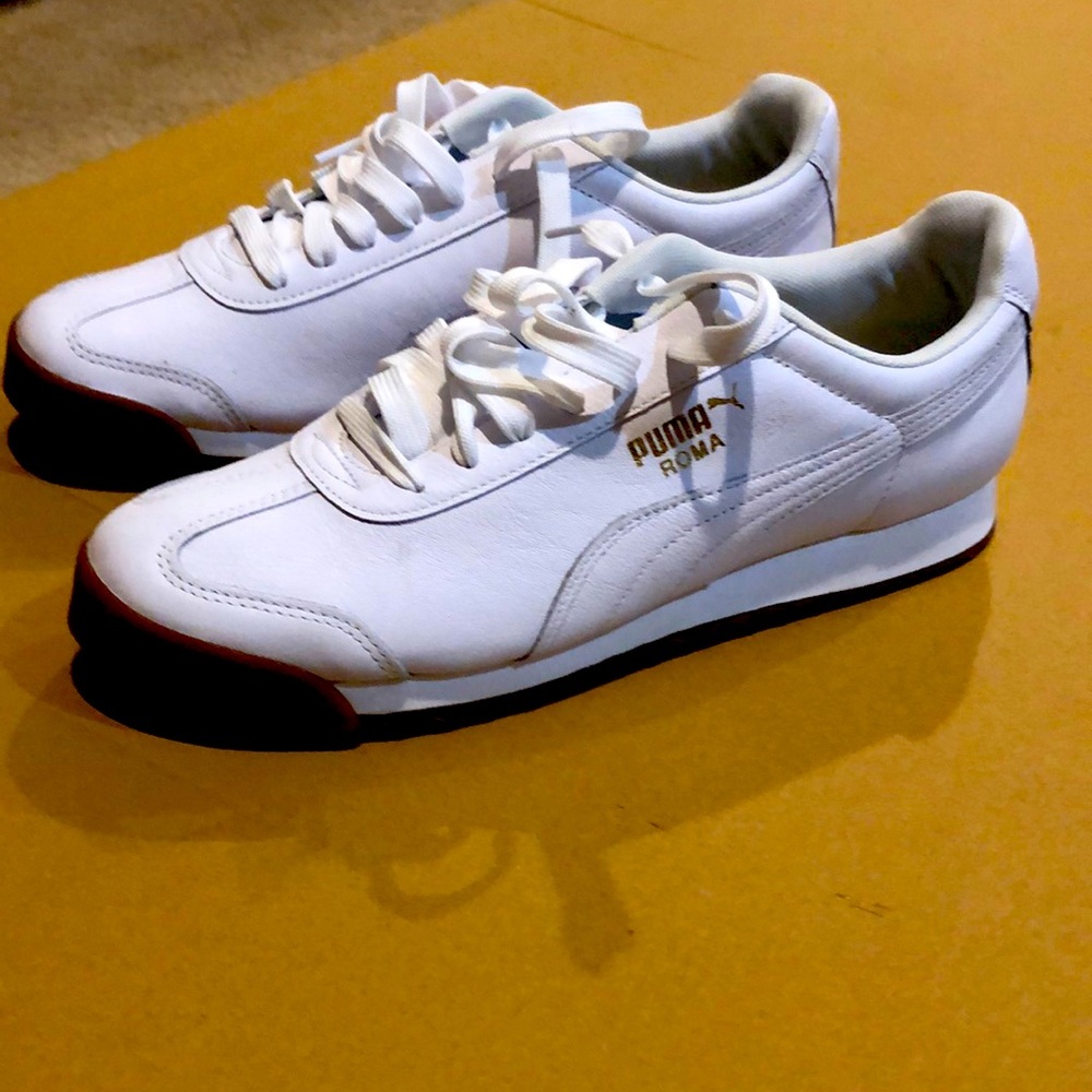 Puma Romas